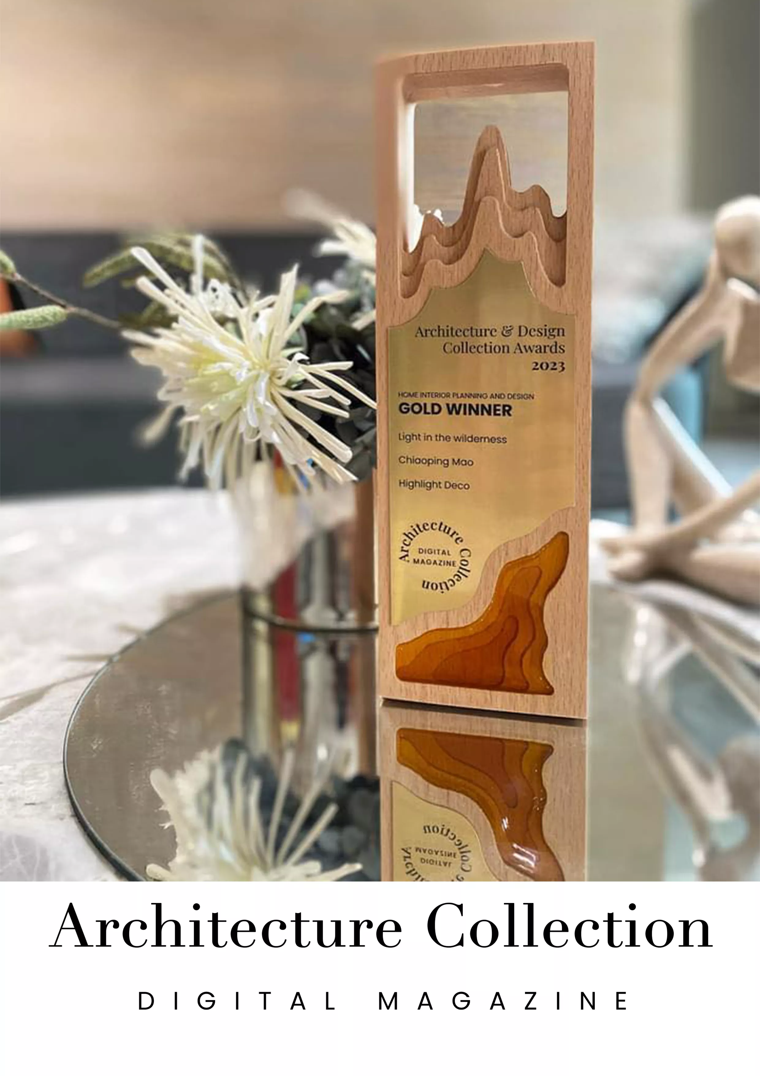 美國ADC award/金獎